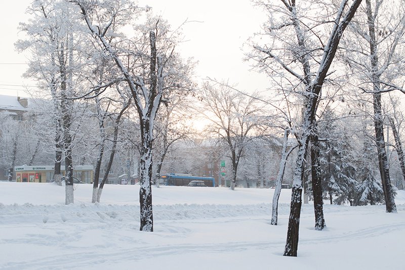 Белые дни. Белгороду осталось совсем недолго находиться под снегом перед скорым потеплением (фото) - фото 9