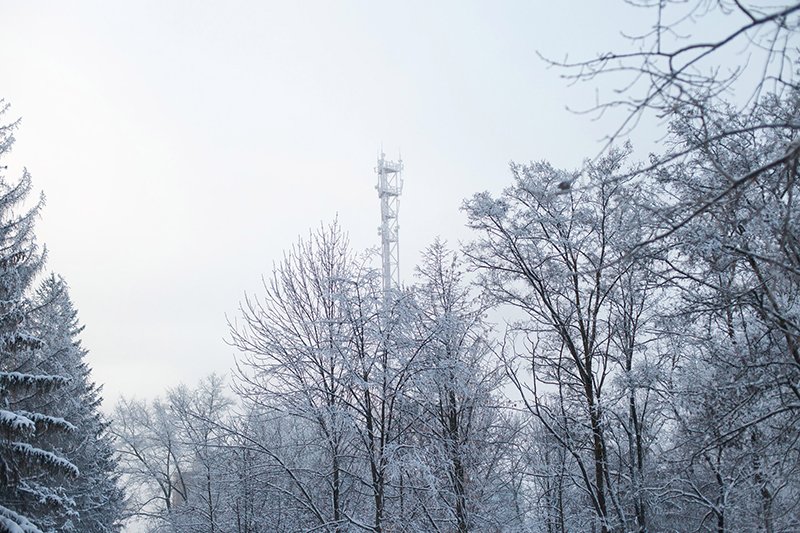 Белые дни. Белгороду осталось совсем недолго находиться под снегом перед скорым потеплением (фото) - фото 6