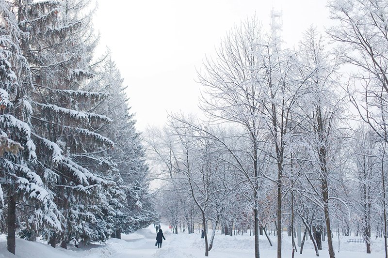 Белые дни. Белгороду осталось совсем недолго оставаться под снегом перед скорым потеплением (фото) - фото 12