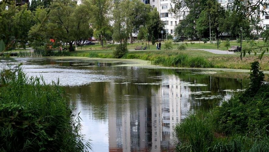 Пруд байкал белгород фото