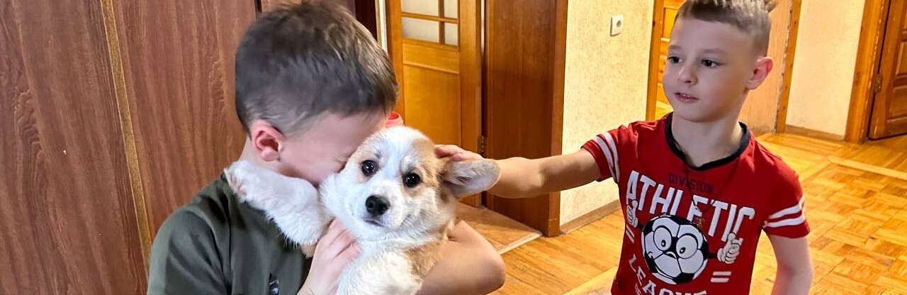 Гладков подарил щенка корги пострадавшей от обстрела Белгорода семье