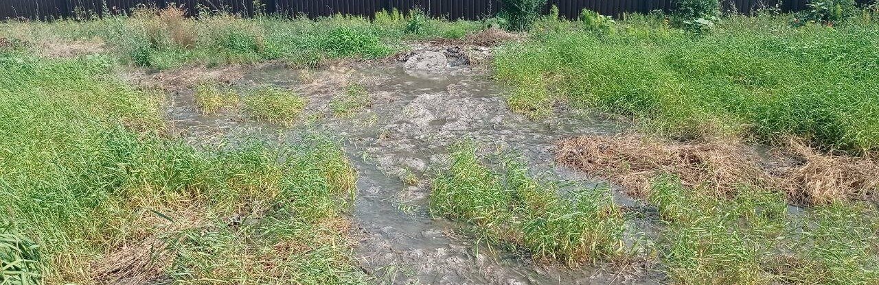 Жителей микрорайона под Белгородом уже год затапливает канализация