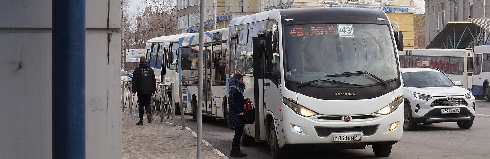 В Белгороде автобусы Marco Polo могут заменить на МАЗы 