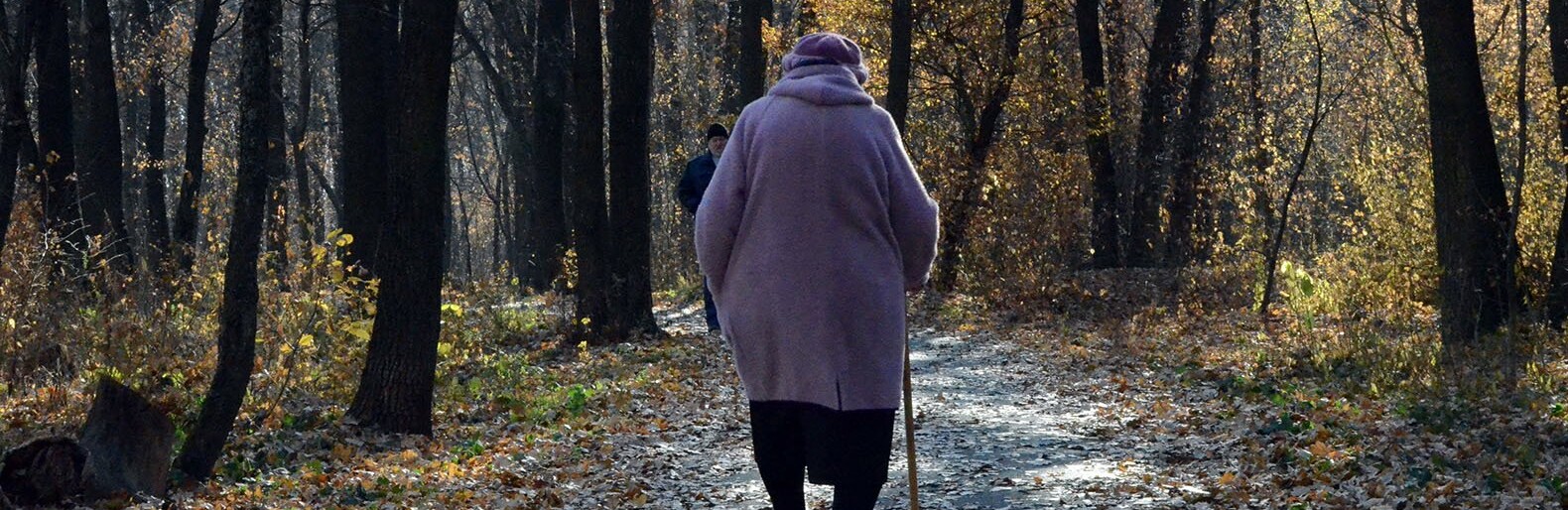 Сбившего 90-летнюю пенсионерку водителя ищут в Белгородской области