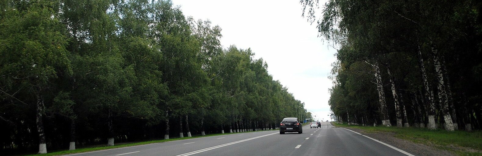 В Белгородской области за 220 млн рублей построят дорогу к научному центру «Бирюч»