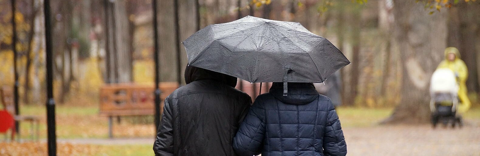 Небольшие дожди ожидают белгородцев в среду