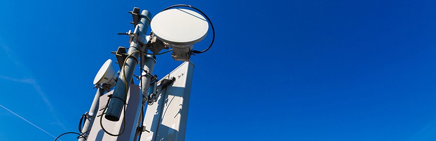 Жители хуторов Центрального Черноземья проголосовали за цивилизацию