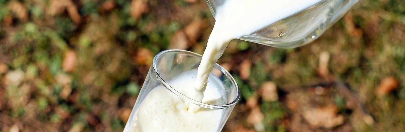 Пункт искусственного осеменения загорелся на молочной ферме в Белгородской области