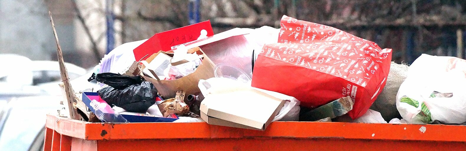 В Белгородской области отменили результаты торгов по вывозу мусора на 12 млрд рублей