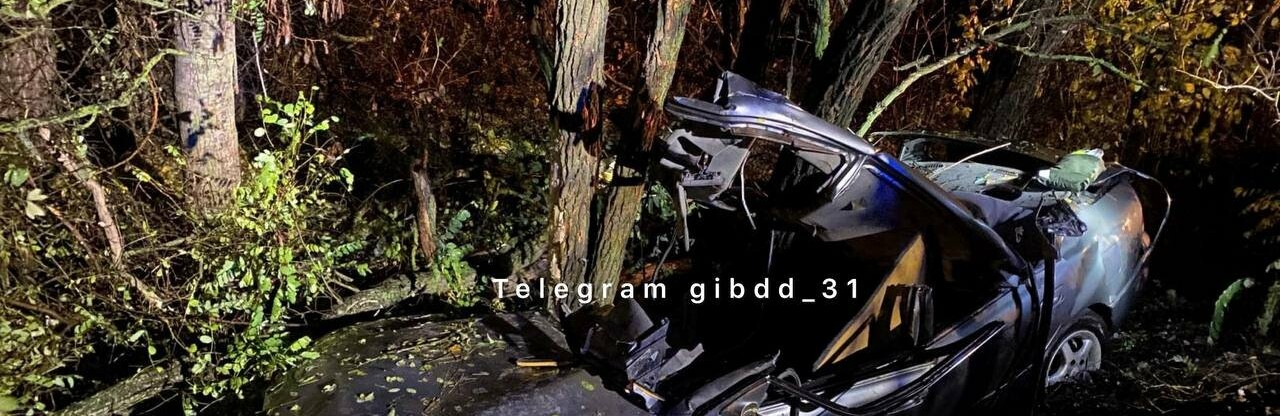 Водитель «Мазды» налетел на дерево и погиб в Белгородской области 