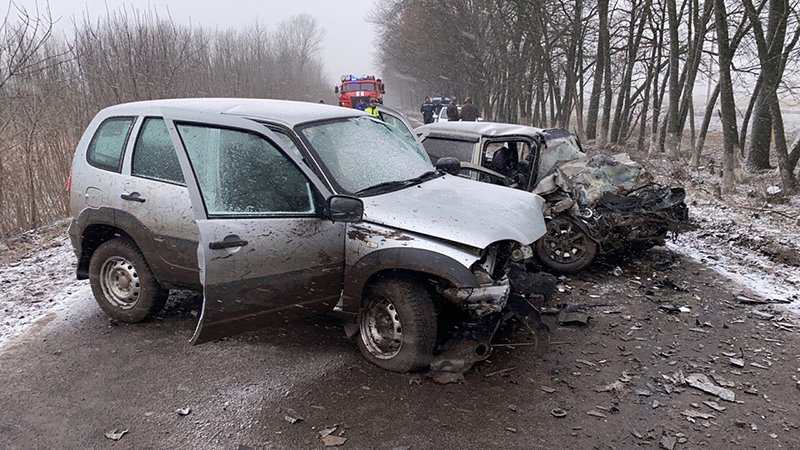 Четыре человека погибли из-за лобового столкновения на дороге в Белгородской области 