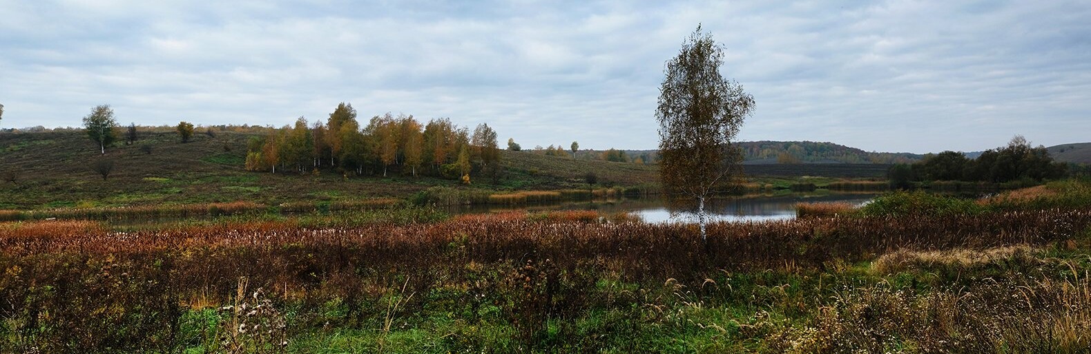 Курский тракторист подорвался на неразорвавшемся снаряде