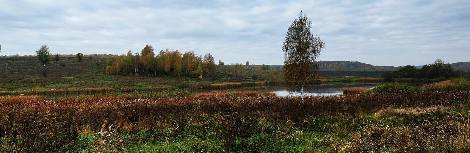 Родные погибших в СВО белгородцев получат земельные участки