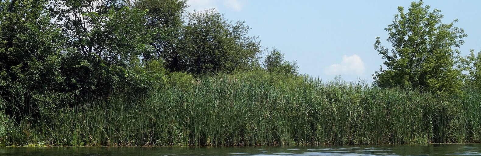 Какие реки и пруды очистят в Белгородской области в 2023 году