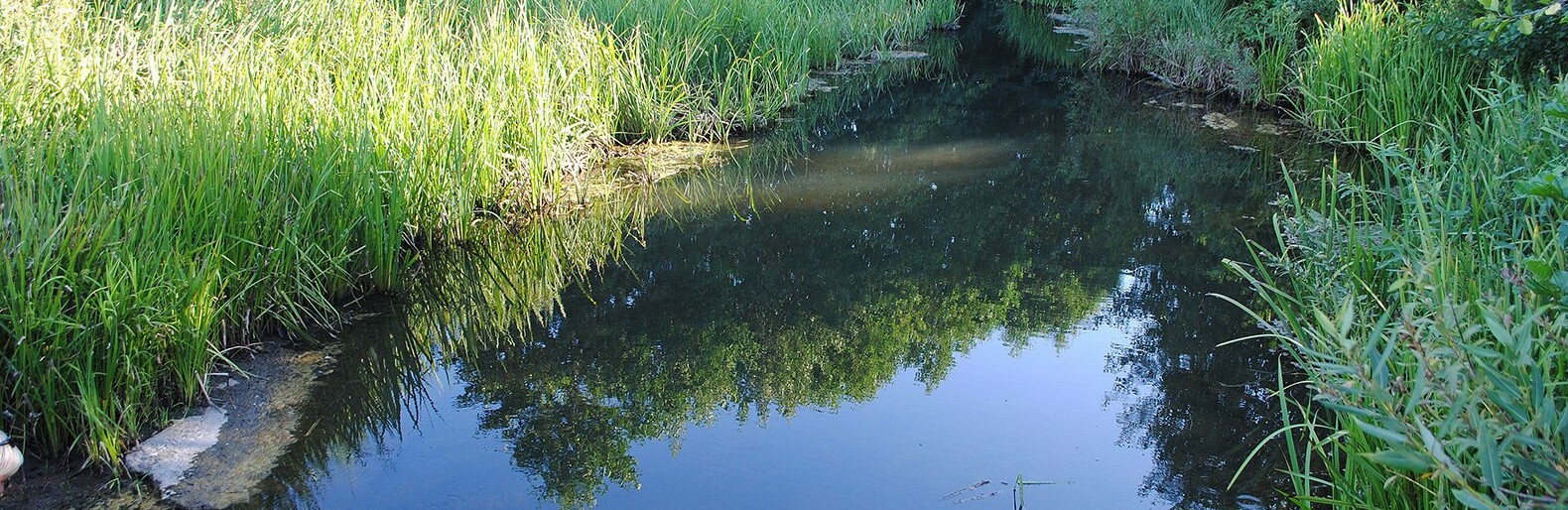 Во время очистки реки Ворсклы сломался земснаряд и загрязнил воду масляным пятном