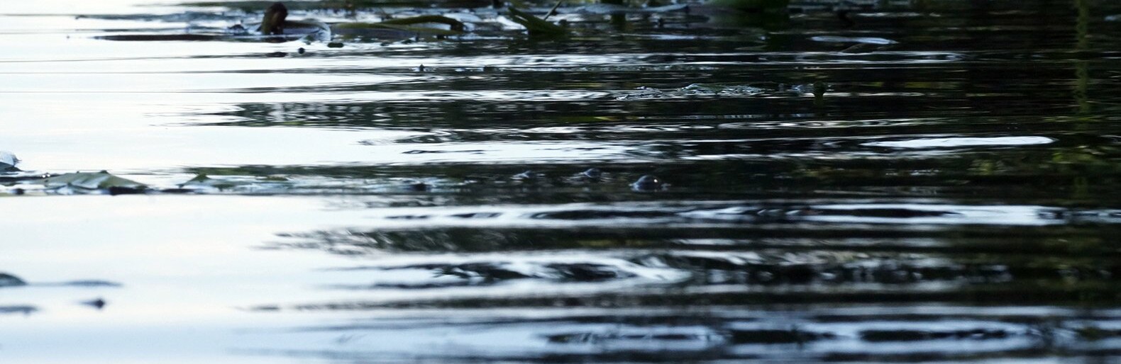 В Губкине в реке Осколец утонул подросток