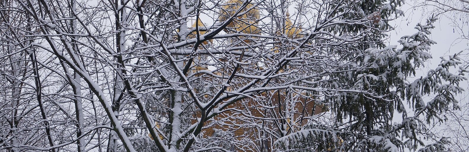 В Белгородской области будет морозная суббота и ветреное воскресенье