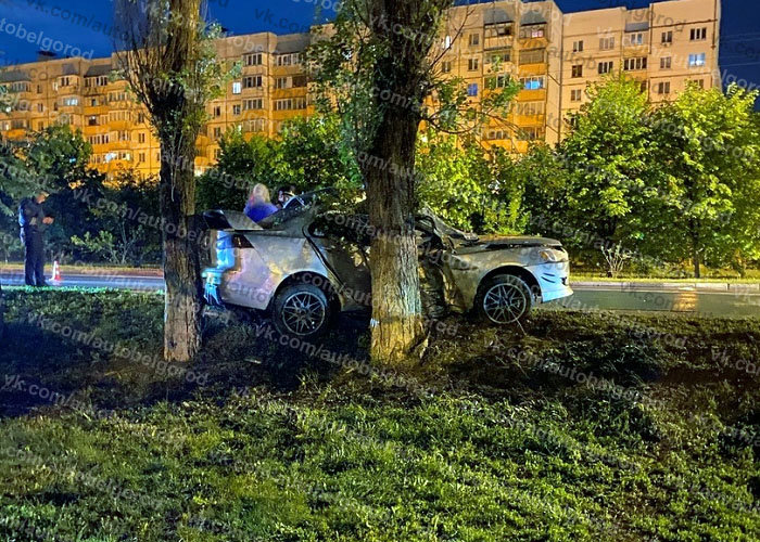 В Белгороде 20-летний водитель влетел на скорости в дерево