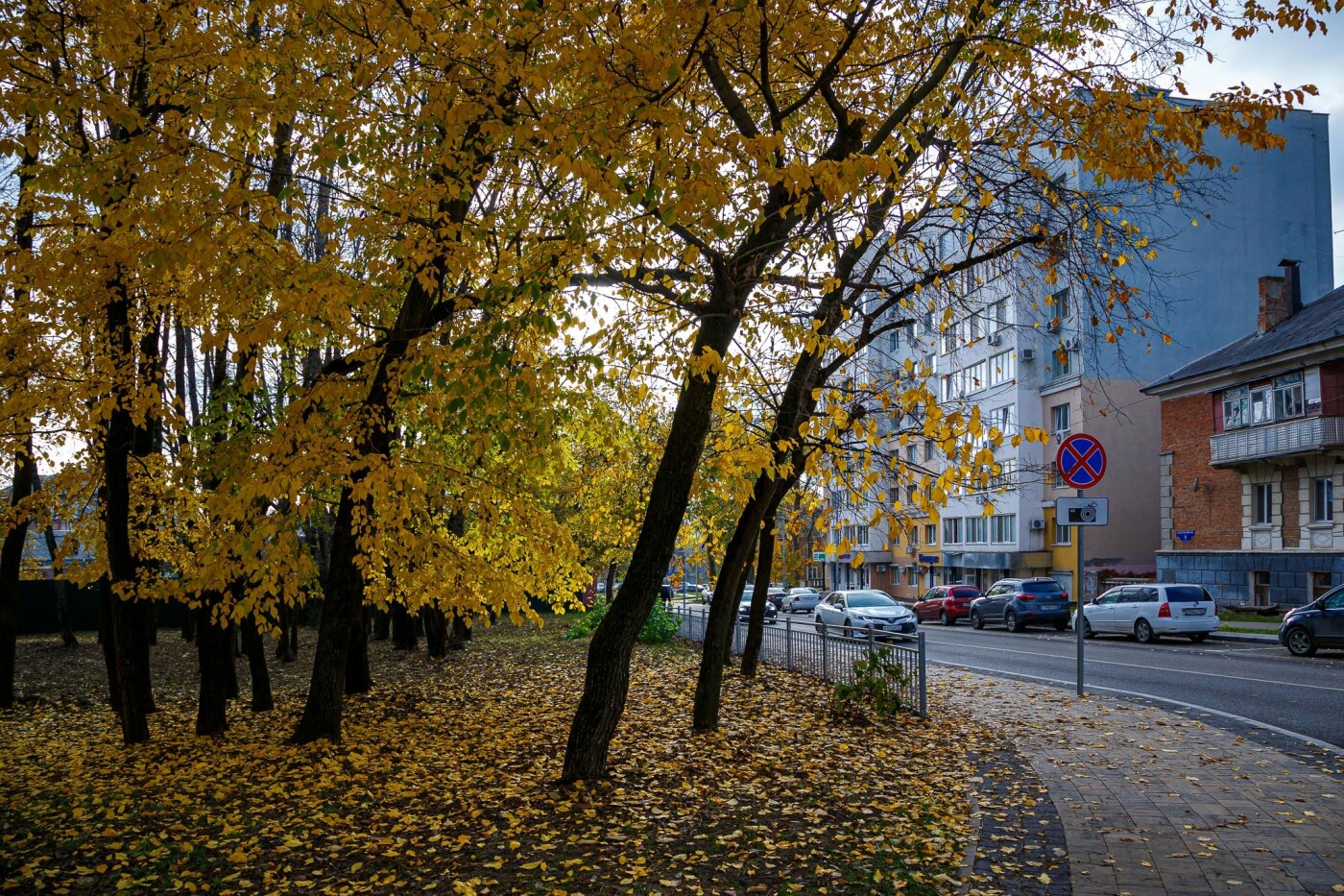 парк города белгорода