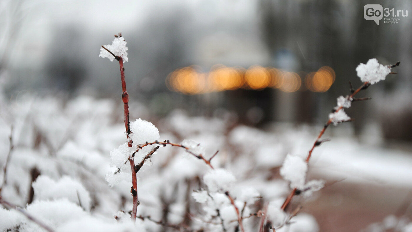 Выпавший снег в Белгороде