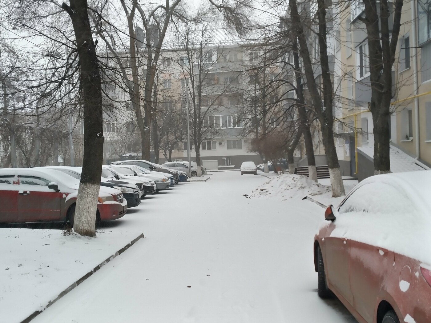 Снегопад в Белгороде