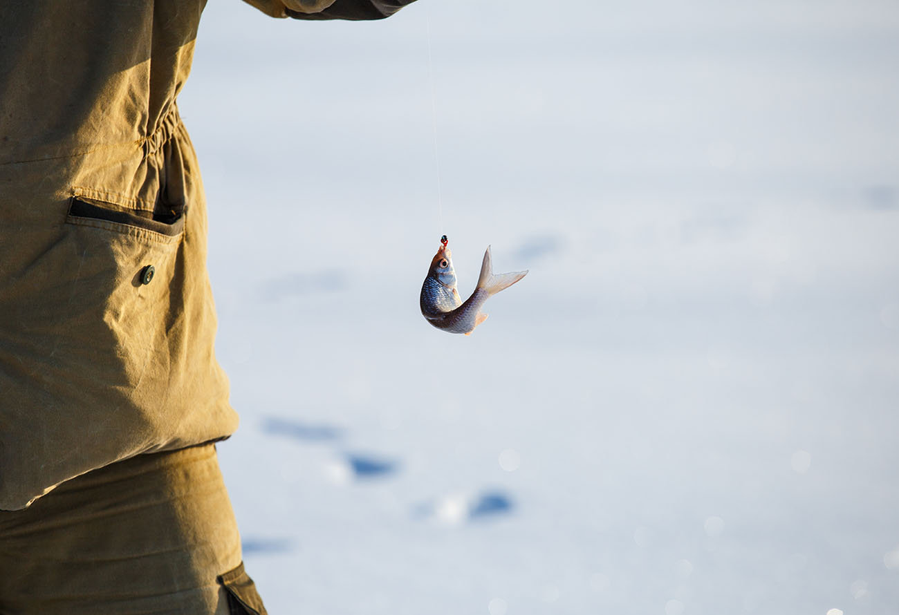 Зимняя рыбалка под Белгородом