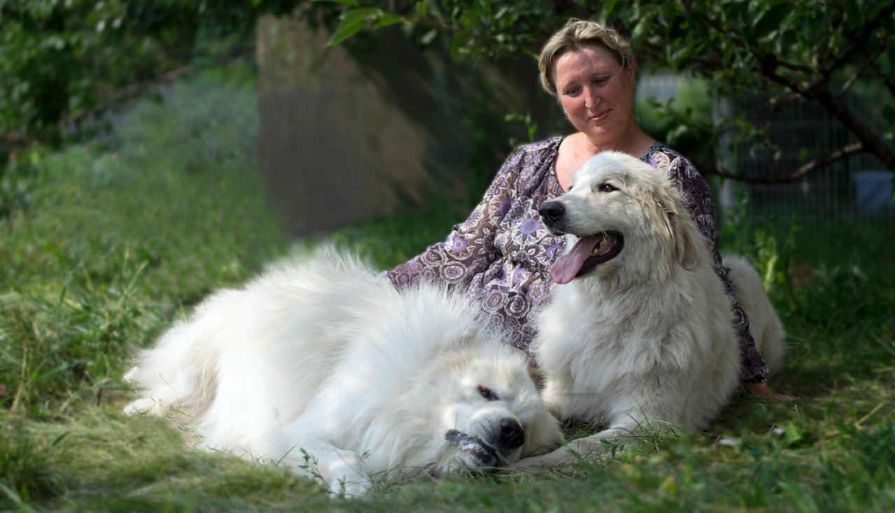 Елена Квитчастая и её собаки