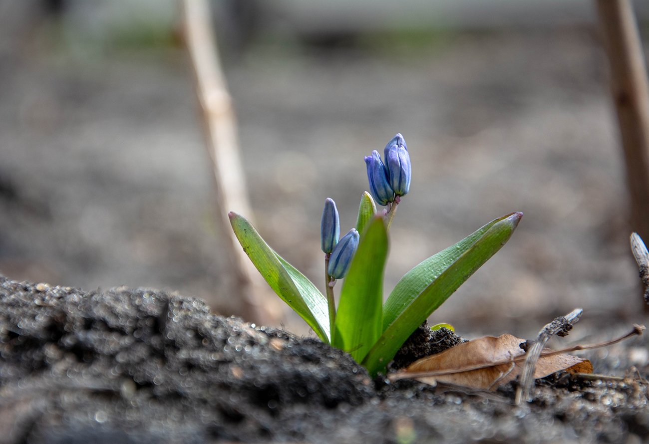 Весна в Разумном Белгородского района