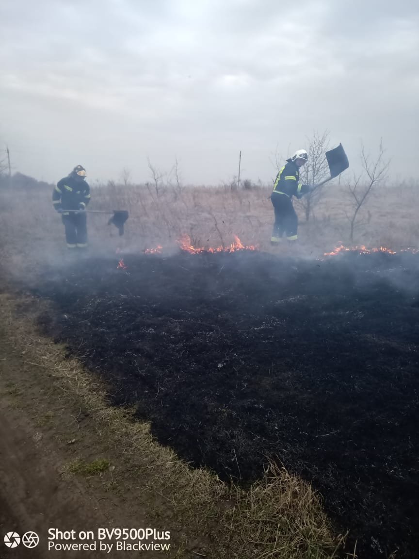 За два дня в регионе сгорели более 33 гектаров сухой травы