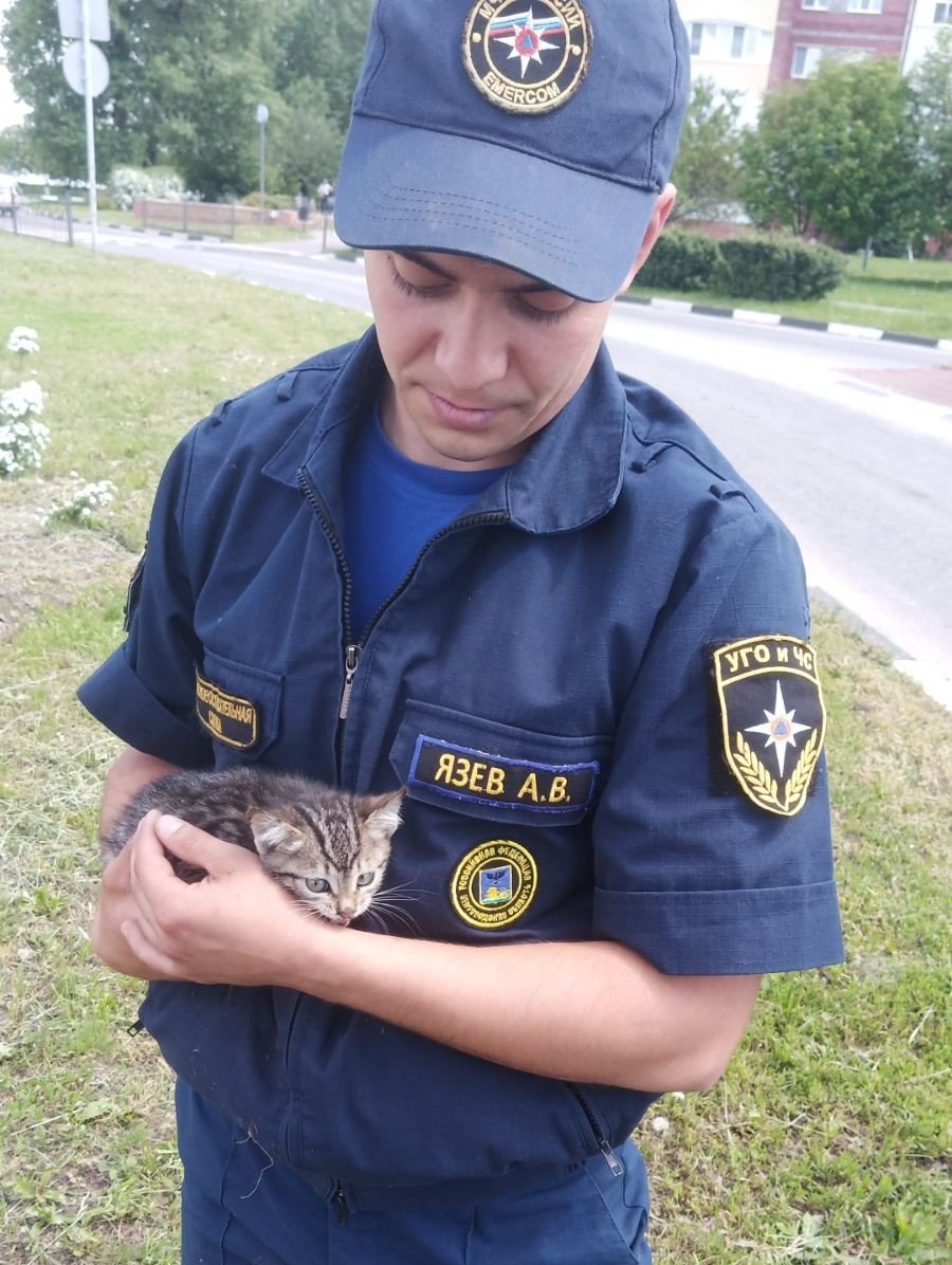 Спасённый котёнок и его новый хозяин