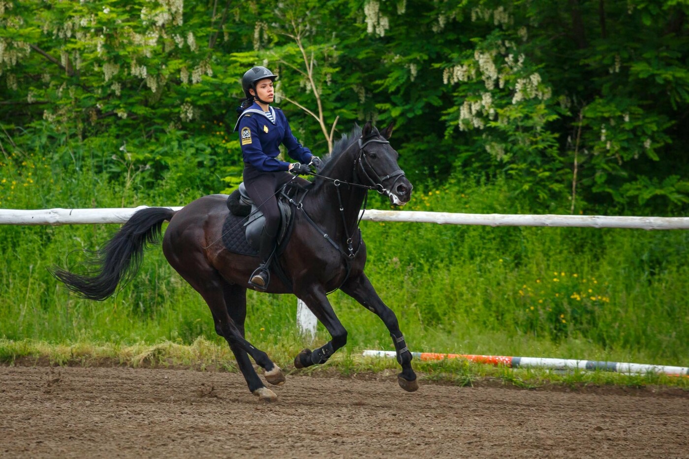 Конные соревнования в Белгороде, фото Антон Вергун