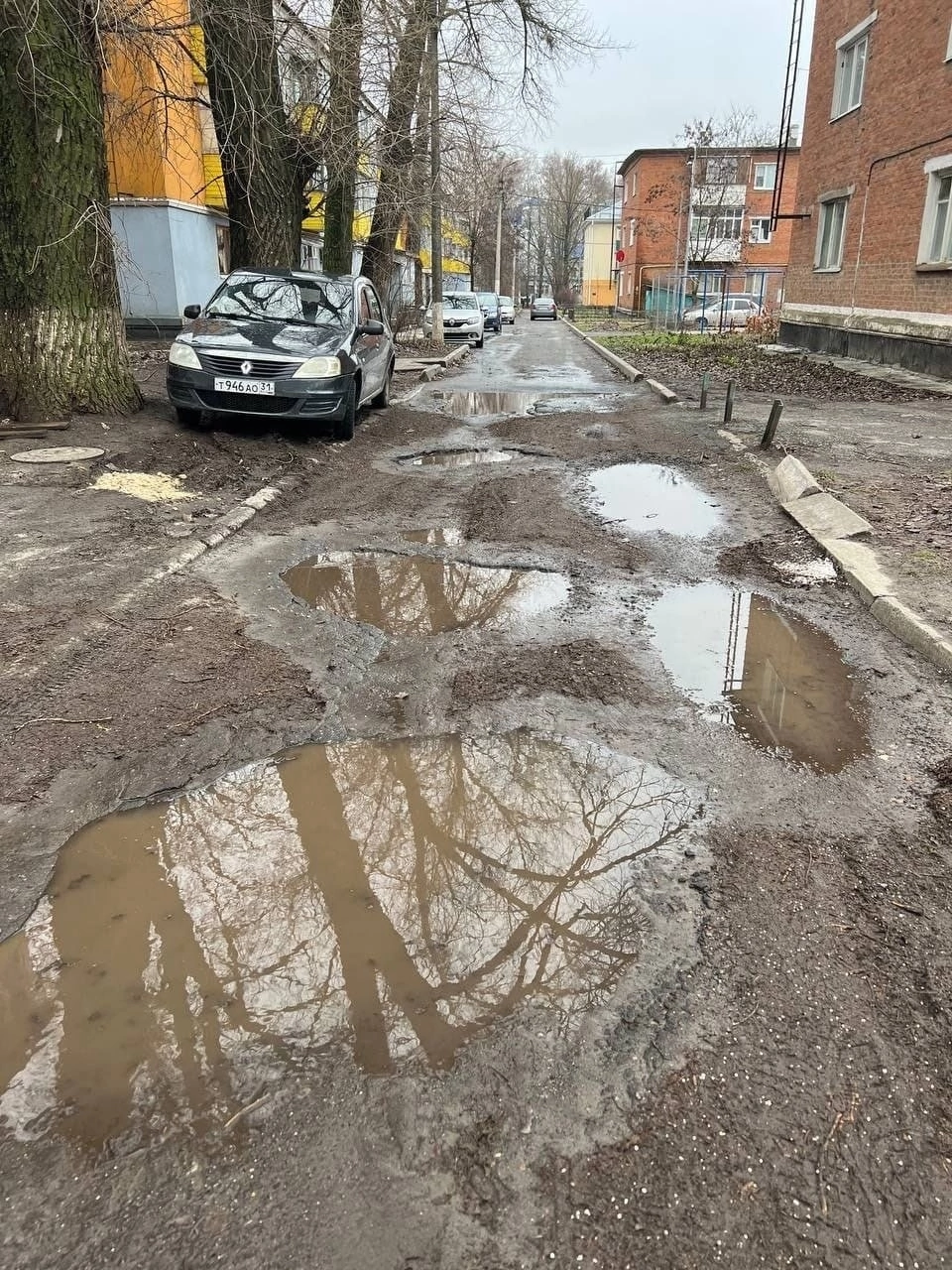 Жители пятиэтажки на Богданке в Белгороде уже несколько дней «плавают» в  подвале