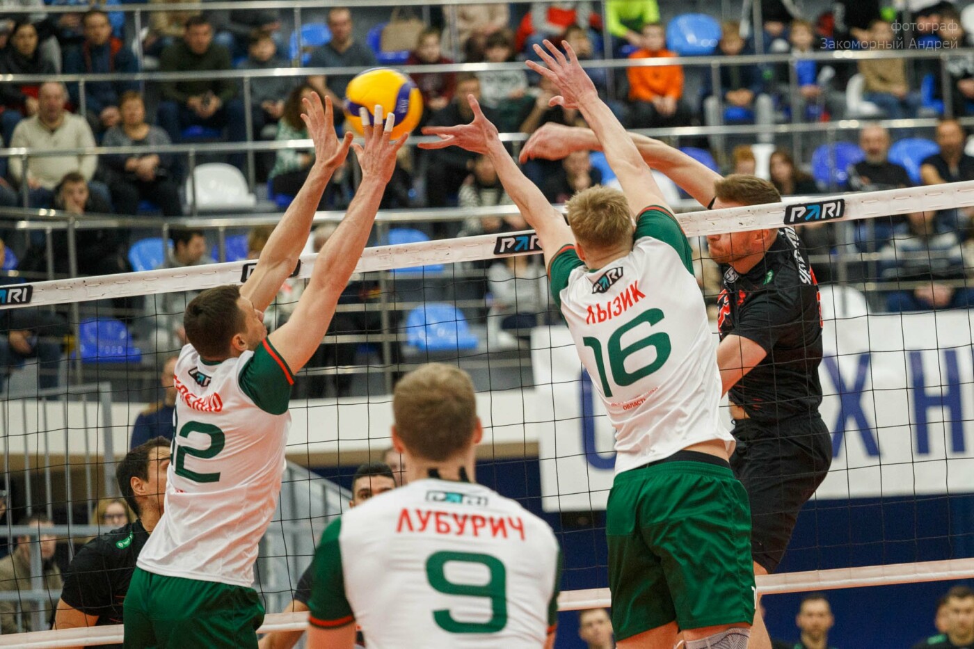 Игра ВК «Белогорье» и «Локомотив» (Новосибирск) в Туле