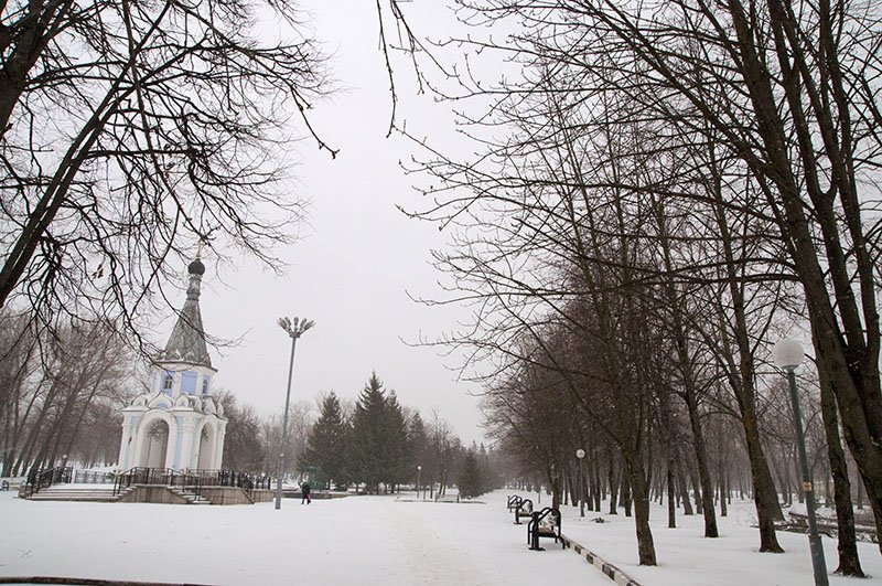 Южная часть парка Памяти в Белгороде за выходные превратилась в голое поле (фото) - фото 1