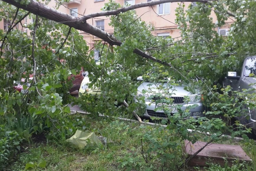 В центре Белгорода тополь упал на припаркованные автомобили (фото) - фото 2