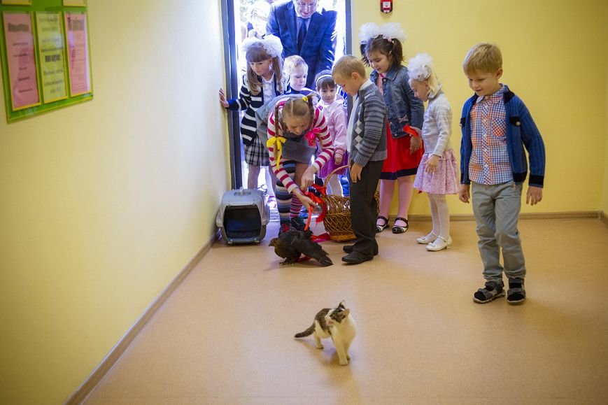 В Белгородском районе открылись четыре новых школы и детский сад (фото) - фото 2