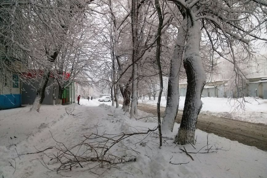 В Белгород пришла зима (фото) - фото 1